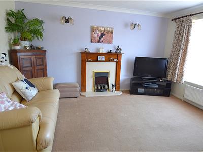 Picture 20